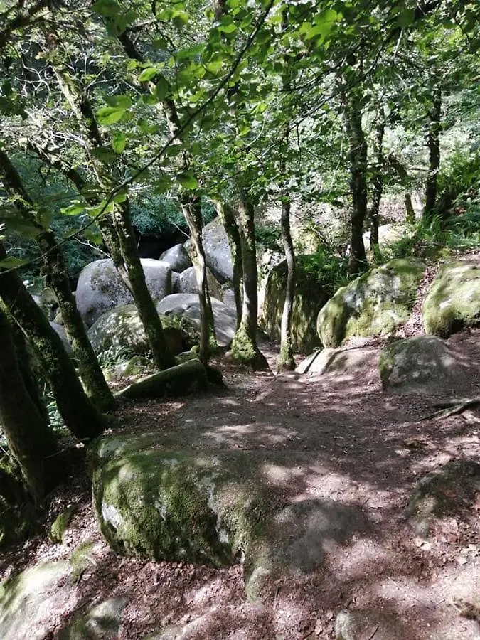 Les Gites Du Triskell, Gite Du Feu Sainte-Trephine